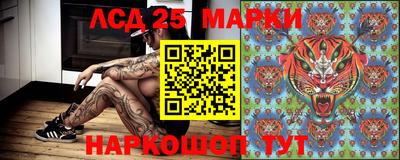 гашик Заволжье