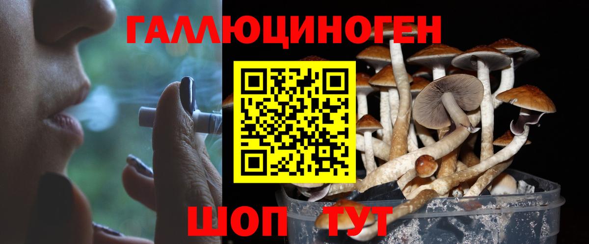 Псилоцибиновые грибы мухоморы Карталы